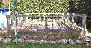 garden1.jpg