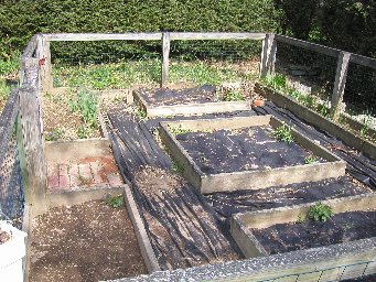garden2.jpg